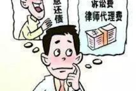 保康融资清欠服务